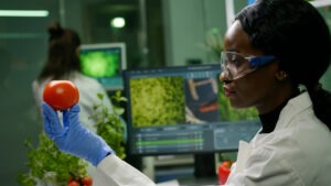 The Future of Food Tech in the UAE, Sustainable and Innovative Solutions